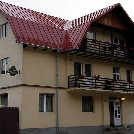 Vila Casa Ta Sinaia Ngoại thất bức ảnh