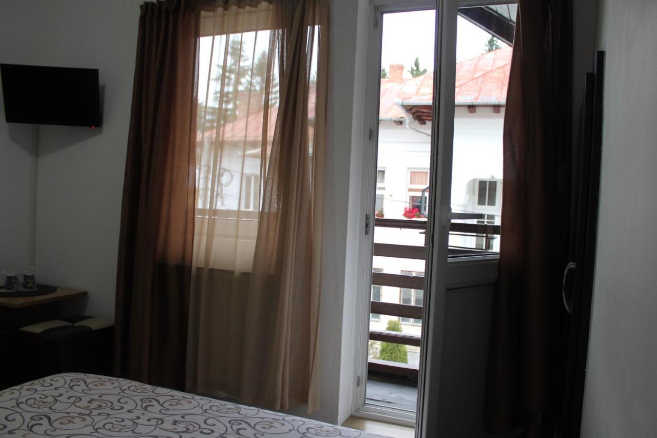 Vila Casa Ta Sinaia Ngoại thất bức ảnh