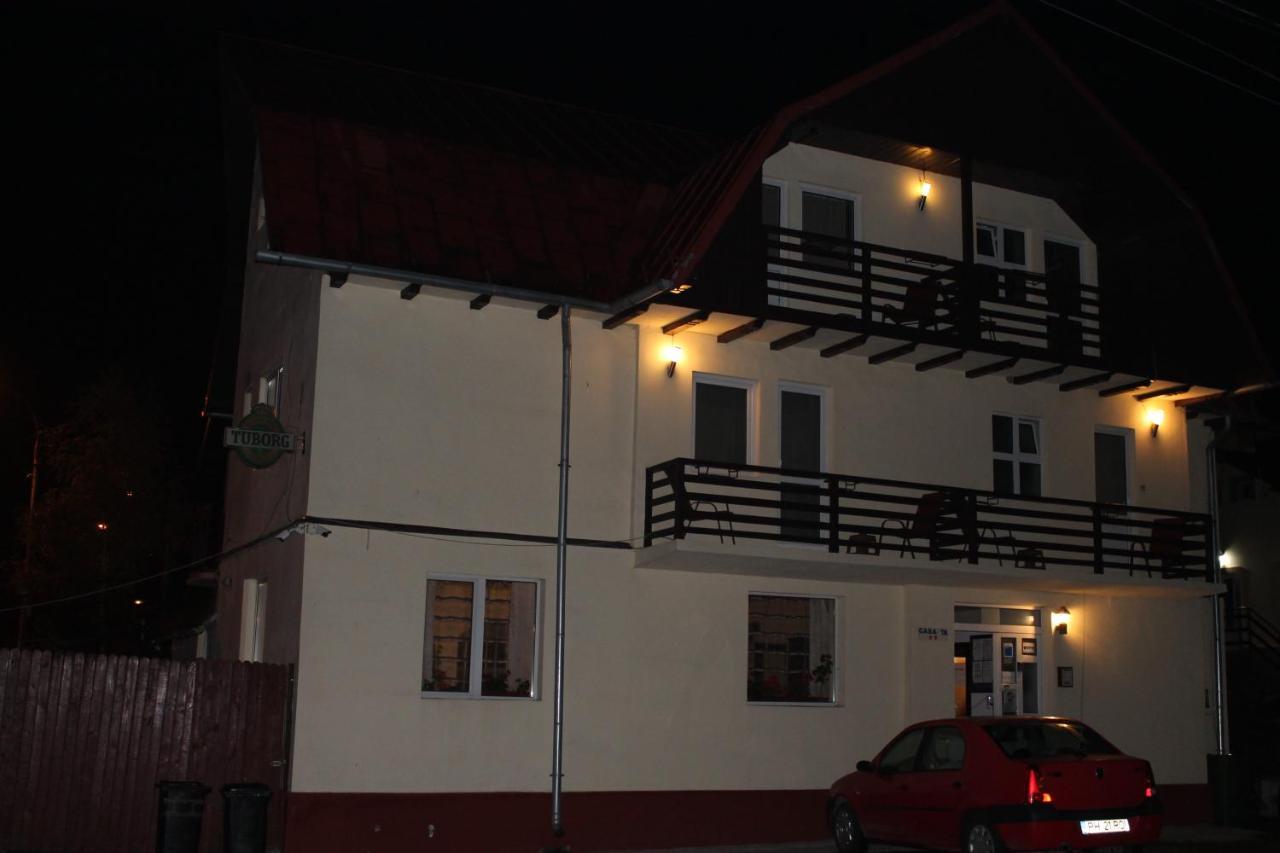Vila Casa Ta Sinaia Ngoại thất bức ảnh
