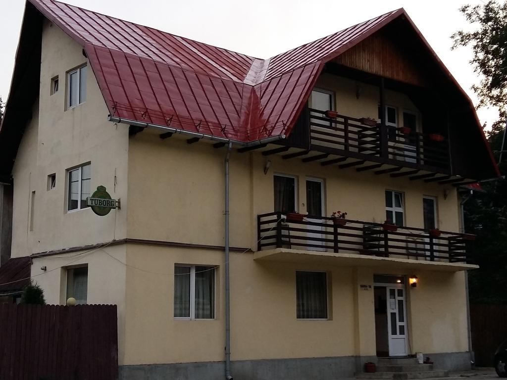 Vila Casa Ta Sinaia Ngoại thất bức ảnh